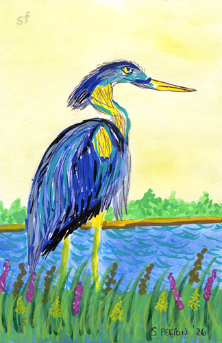 Blue Egret