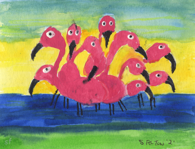 Bunch of Flamingos