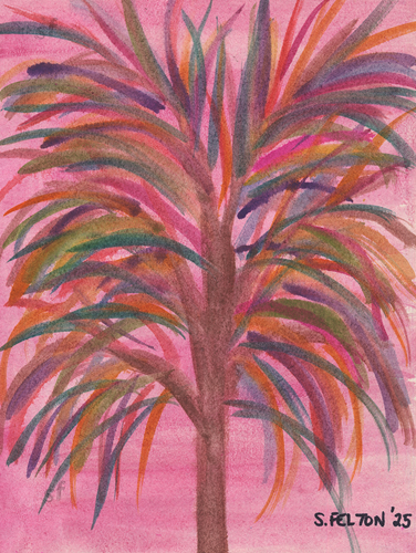 Colorful Palm