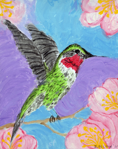 Margie's Hummingbird