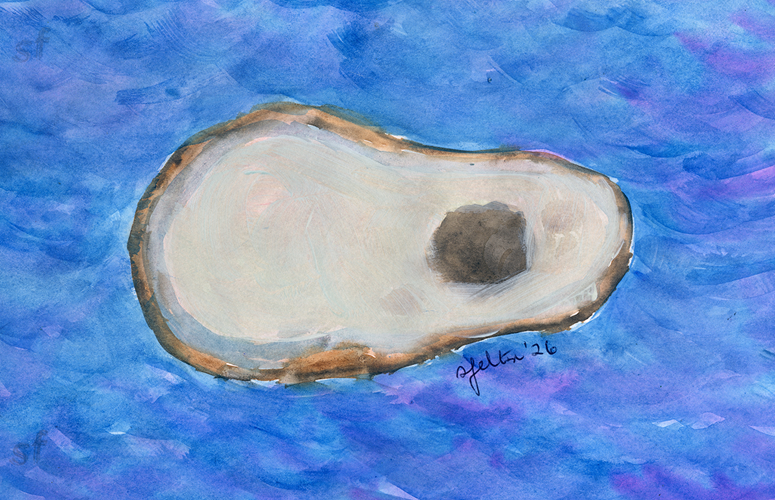 Oyster Shell