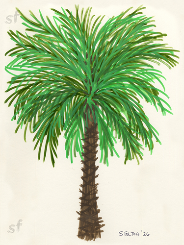 The Palm Tree