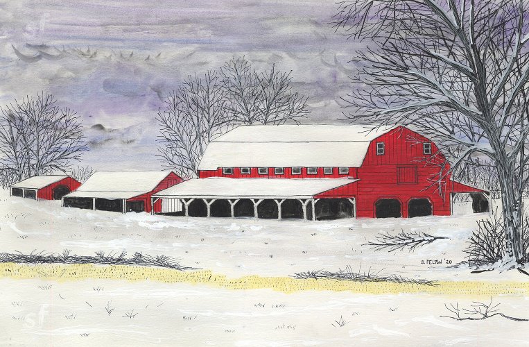 Red Barn in Snow, Edgecombe County, NC